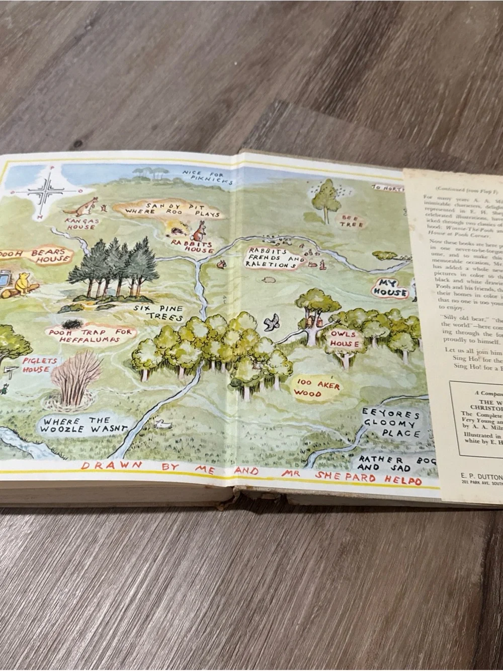 The World of Pooh A A Milne 1957 Illustrated Book, Hardcover With Dust Jacket